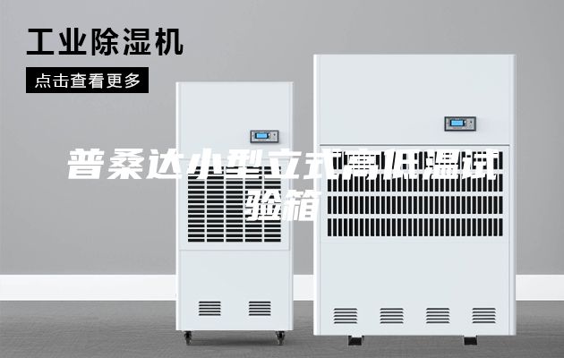 普桑达小型立式高低温试验箱