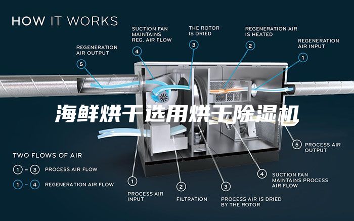 海鲜烘干选用烘干除湿机