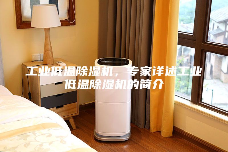 工业低温除湿机，专家详述工业低温除湿机的简介