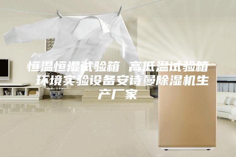 恒温恒湿试验箱 高低温试验箱 环境实验设备安诗曼除湿机生产厂家