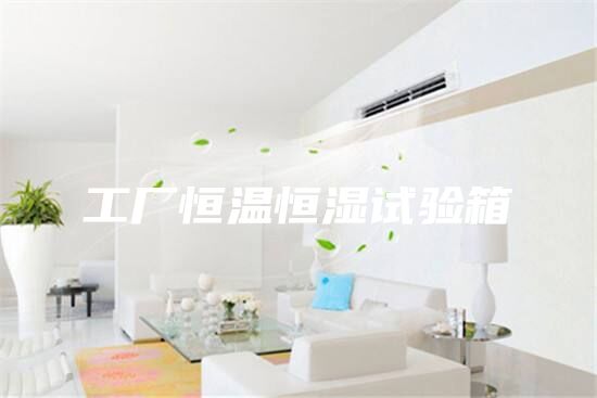工厂恒温恒湿试验箱