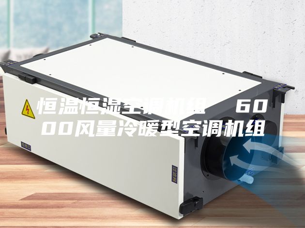 恒温恒湿空调机组  6000风量冷暖型空调机组