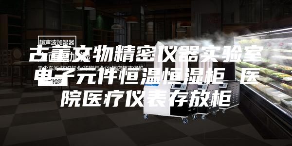 古董文物精密仪器实验室电子元件恒温恒湿柜 医院医疗仪表存放柜