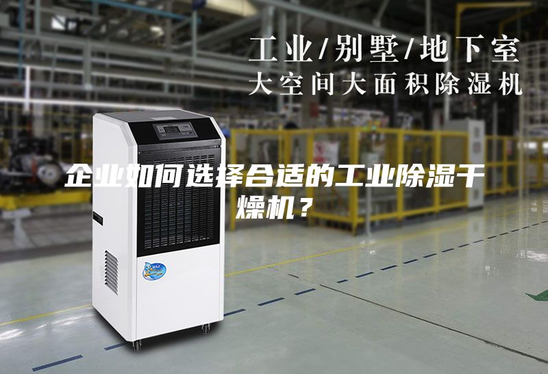 企业如何选择合适的工业除湿干燥机？