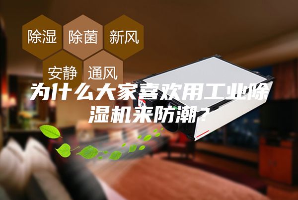 为什么大家喜欢用工业除湿机来防潮？