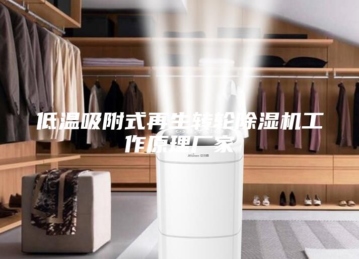 低温吸附式再生转轮除湿机工作原理厂家