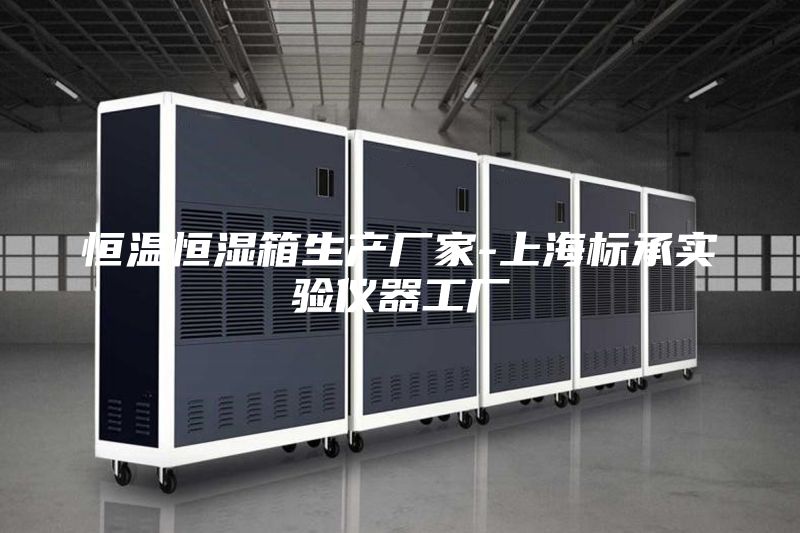 恒温恒湿箱生产厂家-上海标承实验仪器工厂