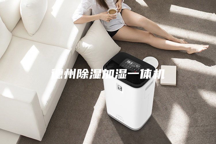 德州除湿加湿一体机