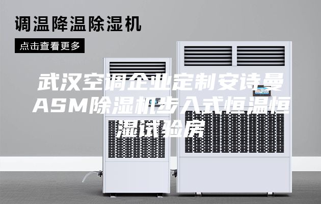 武汉空调企业定制安诗曼ASM除湿机步入式恒温恒湿试验房