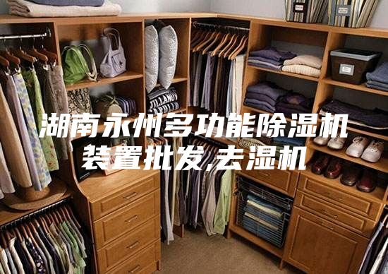 湖南永州多功能除湿机装置批发,去湿机