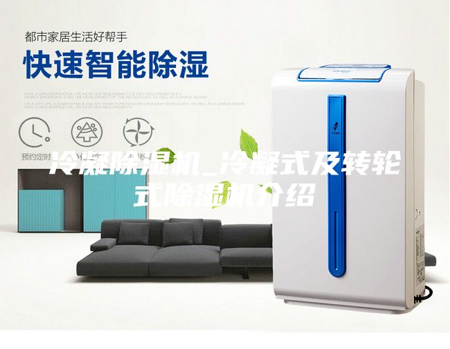 冷凝除湿机_冷凝式及转轮式除湿机介绍