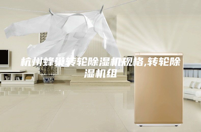 杭州蜂巢转轮除湿机规格,转轮除湿机组