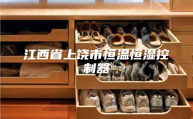 江西省上饶市恒温恒湿控制器