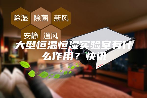 大型恒温恒湿实验室有什么作用？快讯