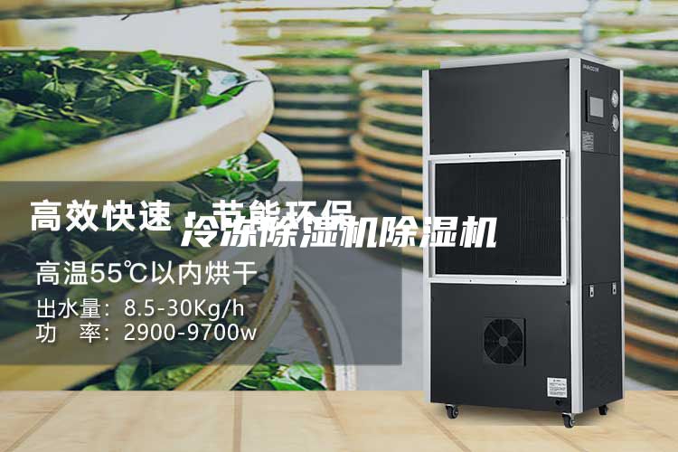 冷冻除湿机除湿机