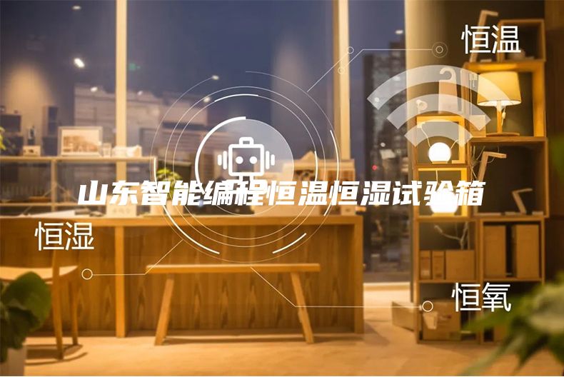 山东智能编程恒温恒湿试验箱