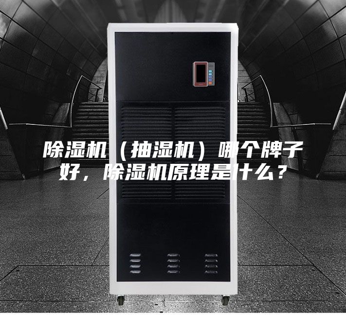 除湿机（抽湿机）哪个牌子好，除湿机原理是什么？
