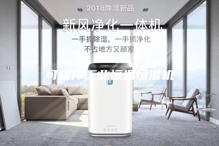 可程序工业恒温恒湿机