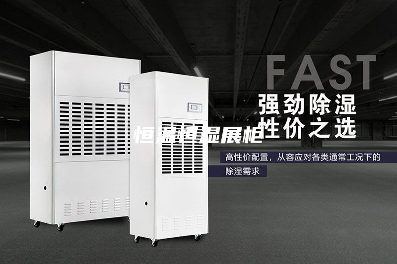 恒温恒湿展柜