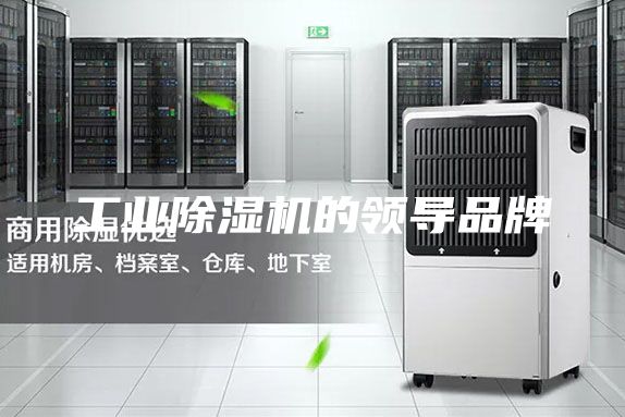 工业除湿机的领导品牌