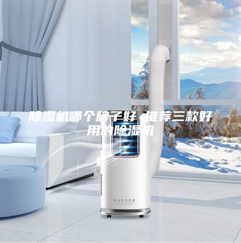 除湿机哪个牌子好 推荐三款好用的除湿机