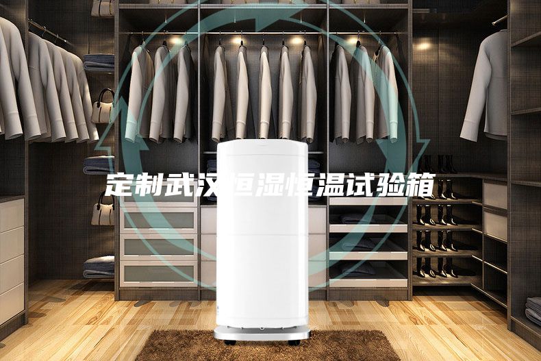 定制武汉恒湿恒温试验箱