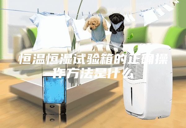 恒温恒湿试验箱的正确操作方法是什么