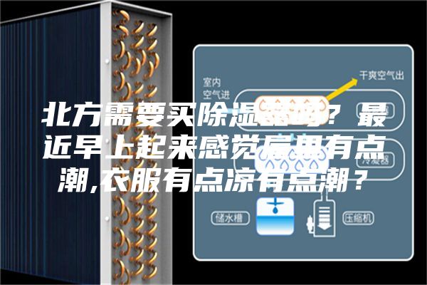 北方需要买除湿器吗？最近早上起来感觉屋里有点潮,衣服有点凉有点潮？