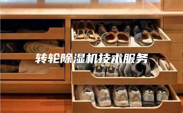 转轮除湿机技术服务