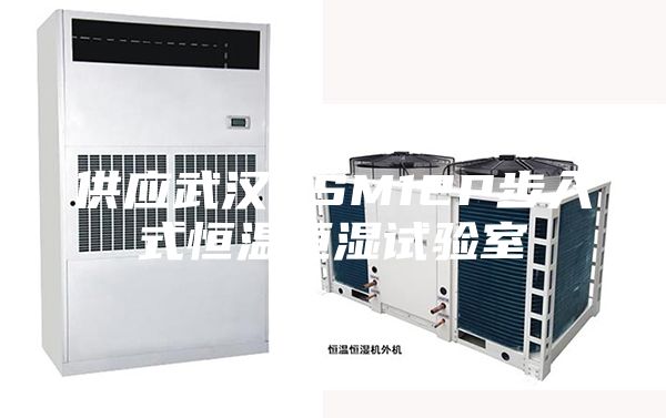 供应武汉ASM12P步入式恒温恒湿试验室