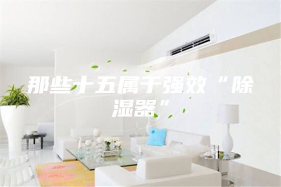那些十五属于强效“除湿器”