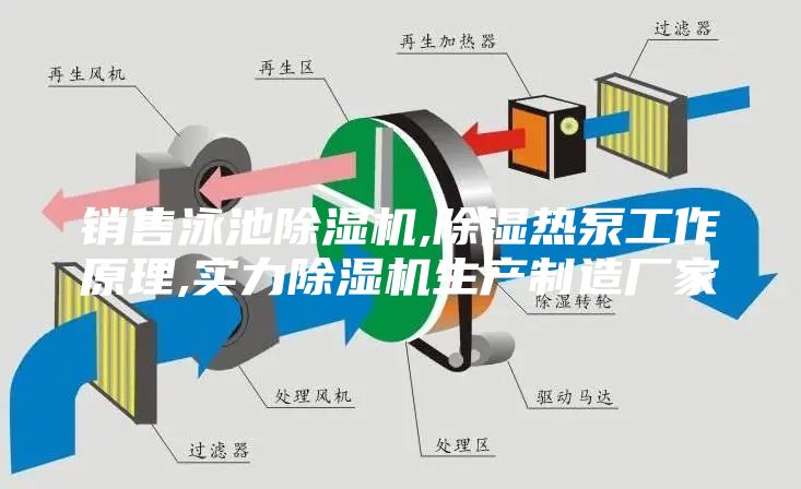 销售泳池除湿机,除湿热泵工作原理,实力除湿机生产制造厂家