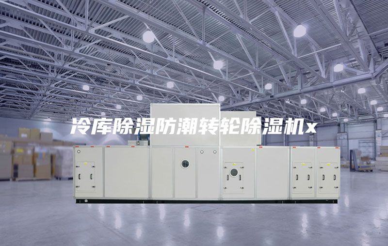 冷库除湿防潮转轮除湿机x