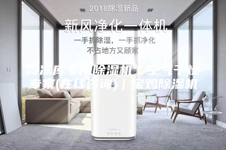 冷冻库专用除湿机｜空气干燥专家(在线咨询)｜宝鸡除湿机