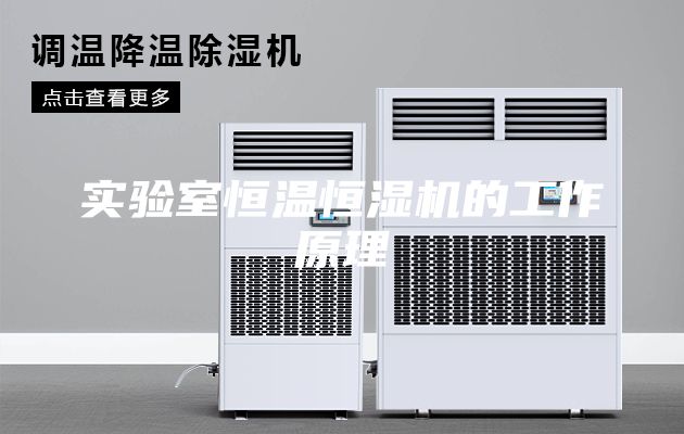 实验室恒温恒湿机的工作原理