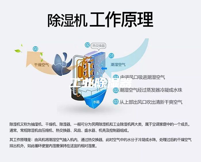 工业除湿器