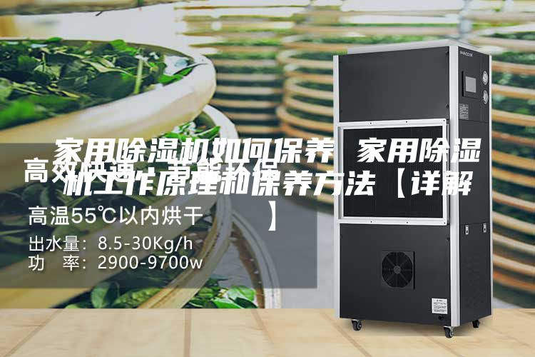 家用除湿机如何保养 家用除湿机工作原理和保养方法【详解】