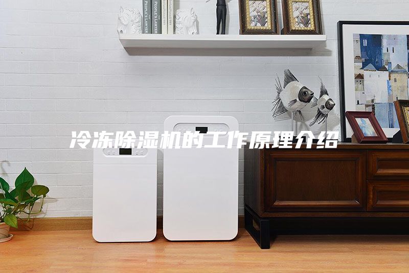 冷冻除湿机的工作原理介绍