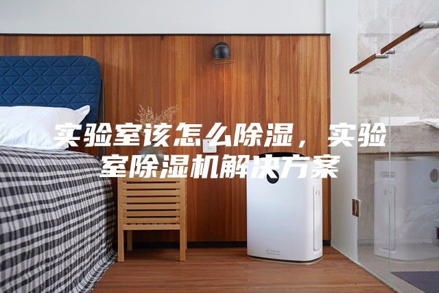 实验室该怎么除湿，实验室除湿机解决方案