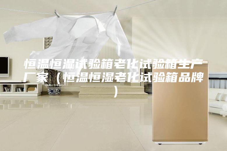 恒温恒湿试验箱老化试验箱生产厂家（恒温恒湿老化试验箱品牌）