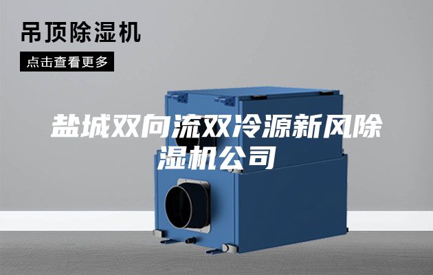 盐城双向流双冷源新风除湿机公司