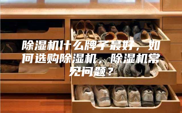 除湿机什么牌子最好，如何选购除湿机，除湿机常见问题？