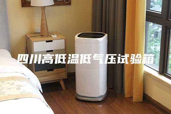 四川高低温低气压试验箱