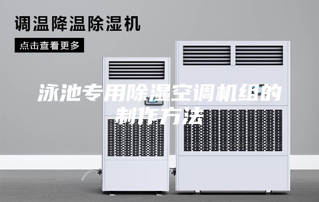 泳池专用除湿空调机组的制作方法