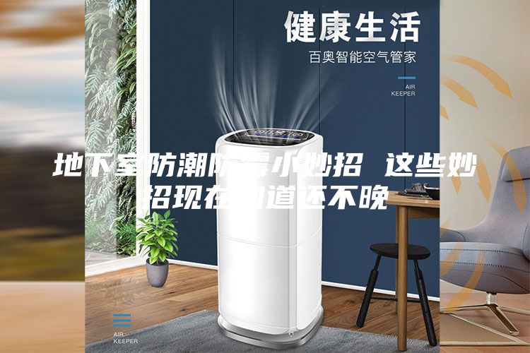 地下室防潮防霉小妙招 这些妙招现在知道还不晚
