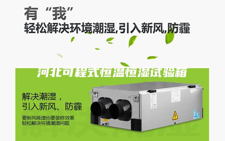河北可程式恒温恒湿试验箱