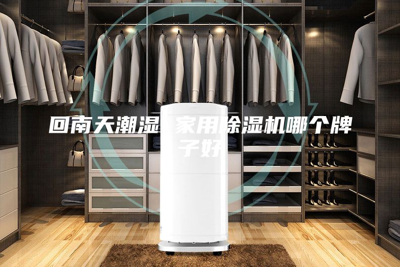 回南天潮湿 家用除湿机哪个牌子好