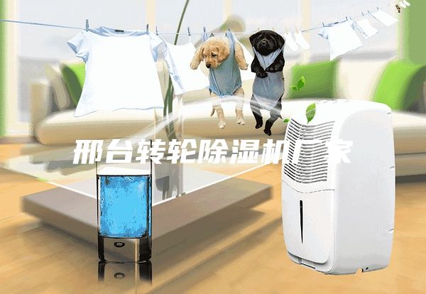 邢台转轮除湿机厂家