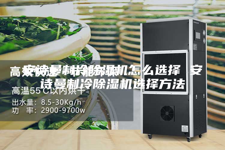 安诗曼制冷除湿机怎么选择 安诗曼制冷除湿机选择方法