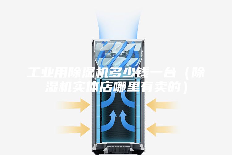 工业用除湿机多少钱一台（除湿机实体店哪里有卖的）